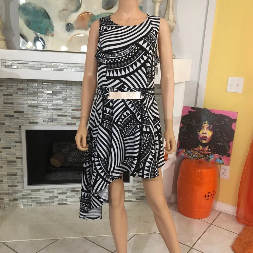 Impulsive shirt/dress 1X